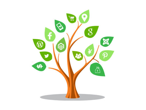 eCommerce Website Development Company in Dhaka Bangladesh